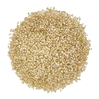 Wholemeal round rice, BULK organic